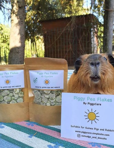 Pet Food Packaging Bag